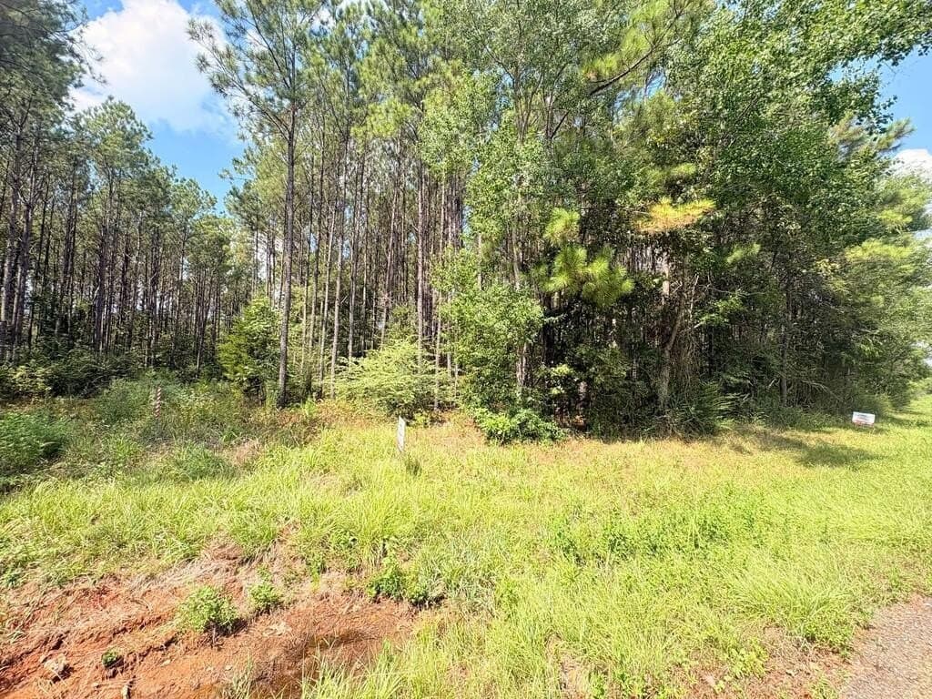 12 acres in Texas County - photo 8
