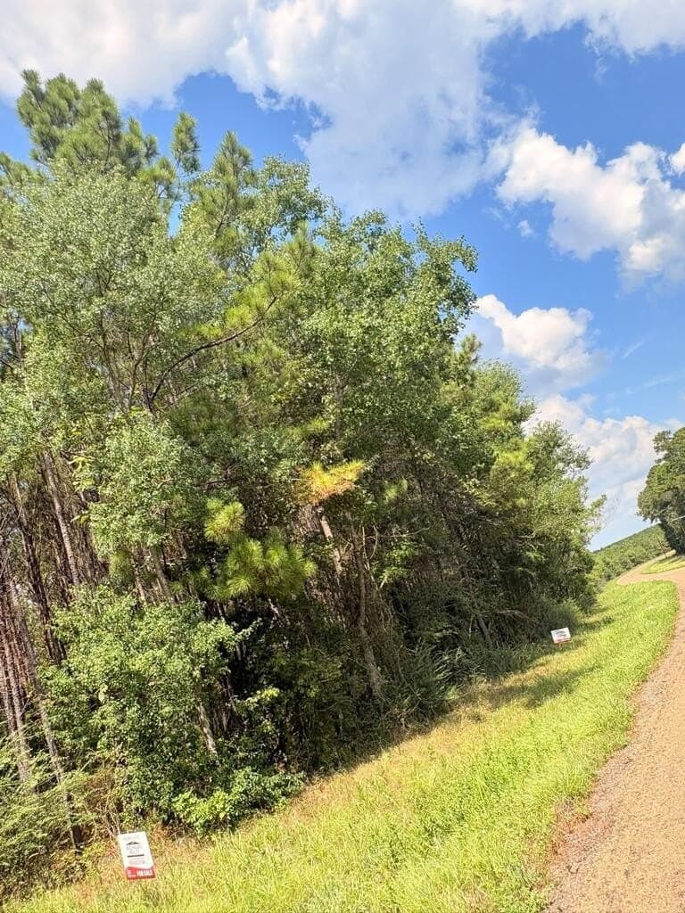 12 acres in Texas County - photo 4