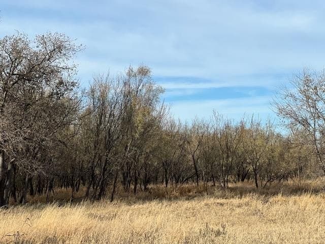53.6 acres in Scurry County