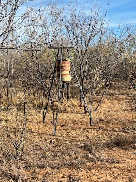 53.6 acres in Scurry County featured view