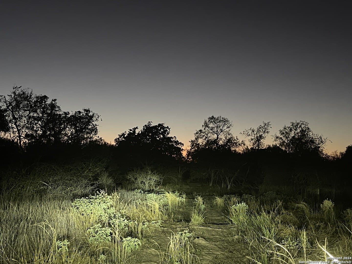10.5 acres in Bexar County featured view