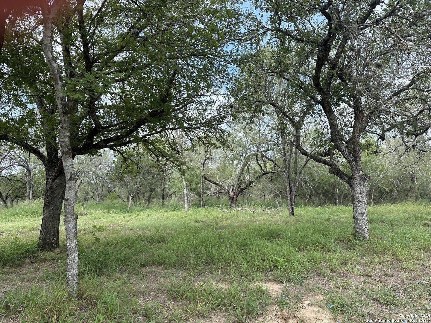 10.5 acres in Bexar County gallery image 3