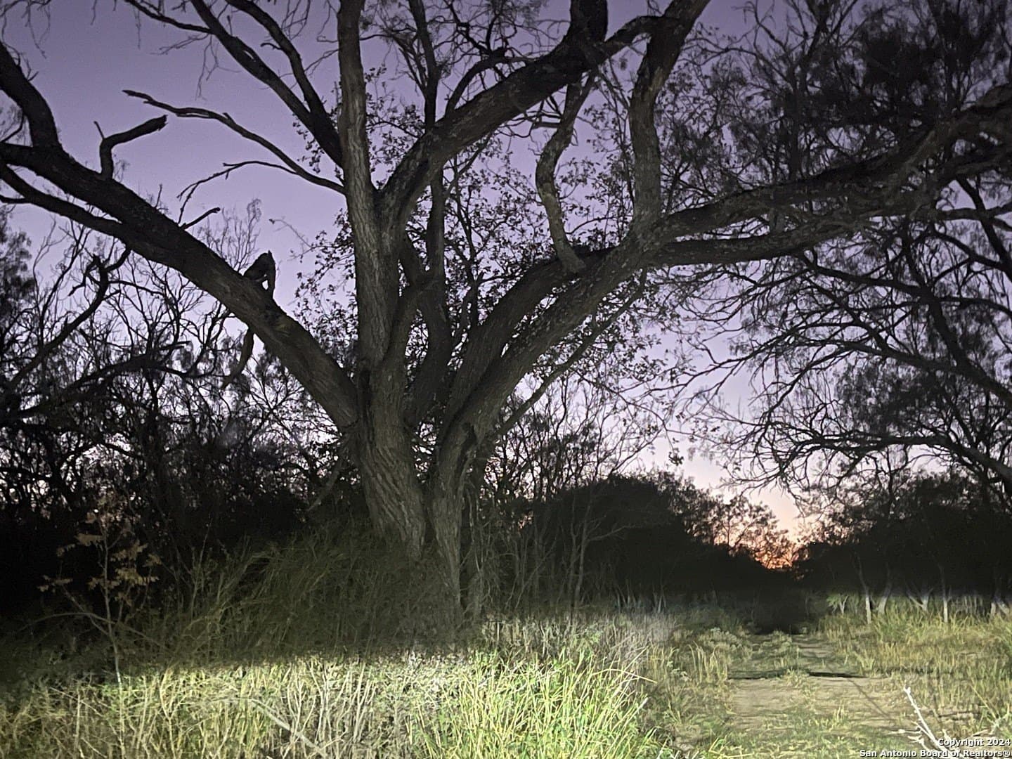 10.5 acres in Bexar County - photo 6