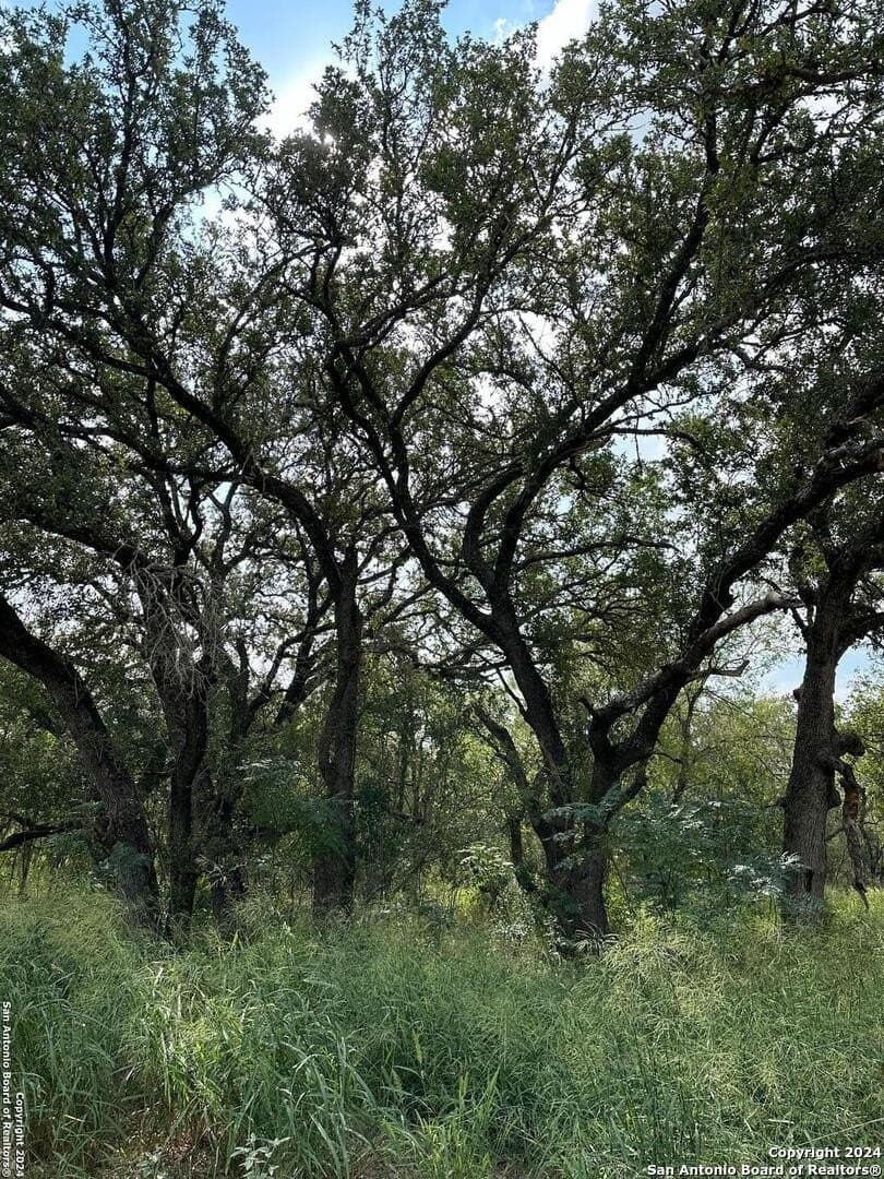 10.5 acres in Bexar County gallery image 2