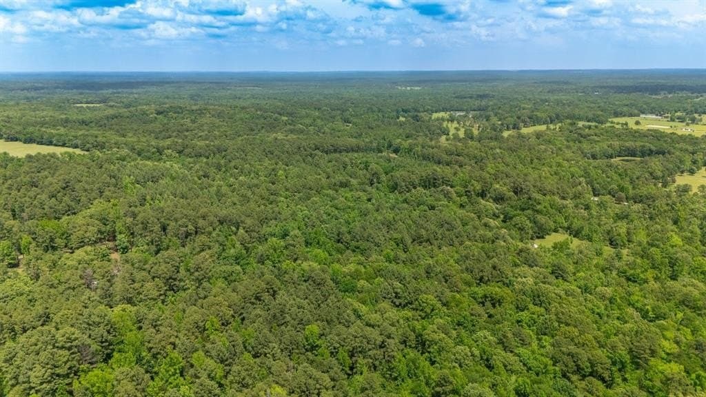 12.79 acres in Wood County featured view
