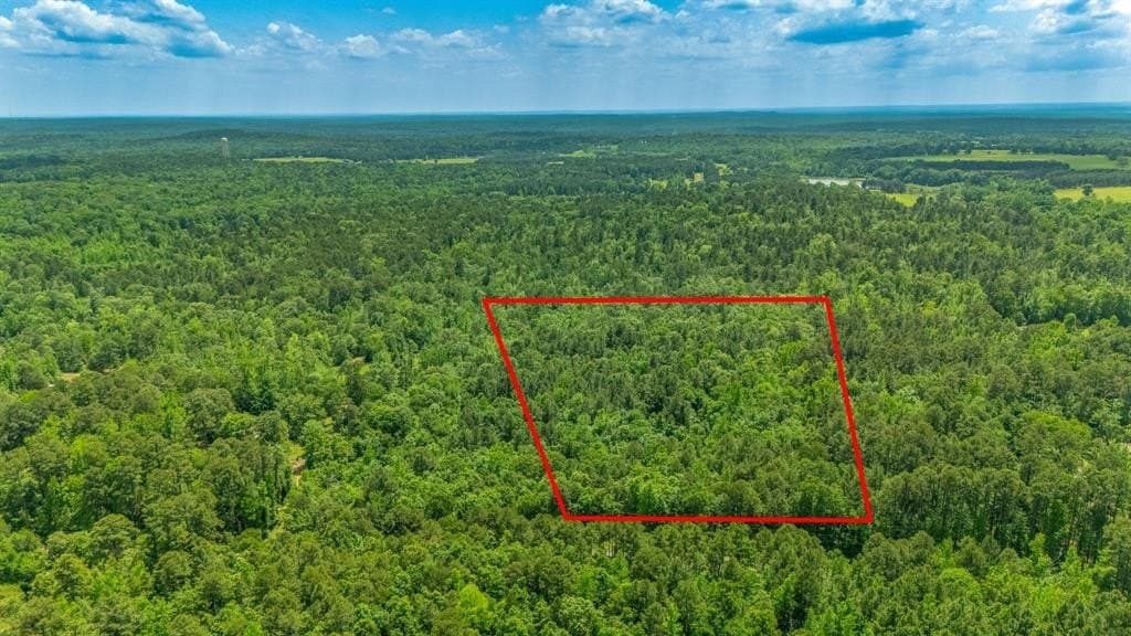 12.79 acres in Wood County gallery image 2