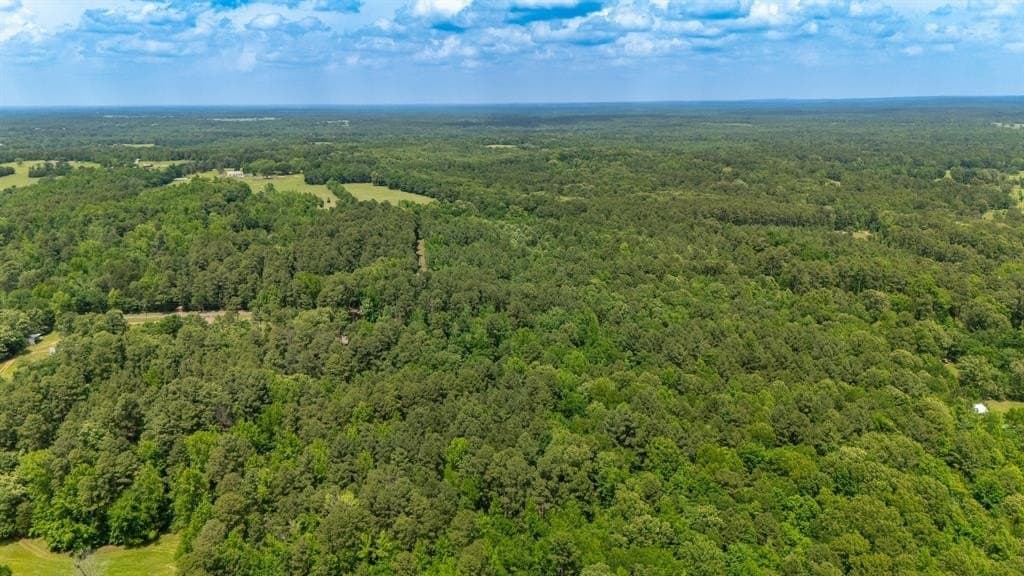 12.79 acres in Wood County gallery image 4