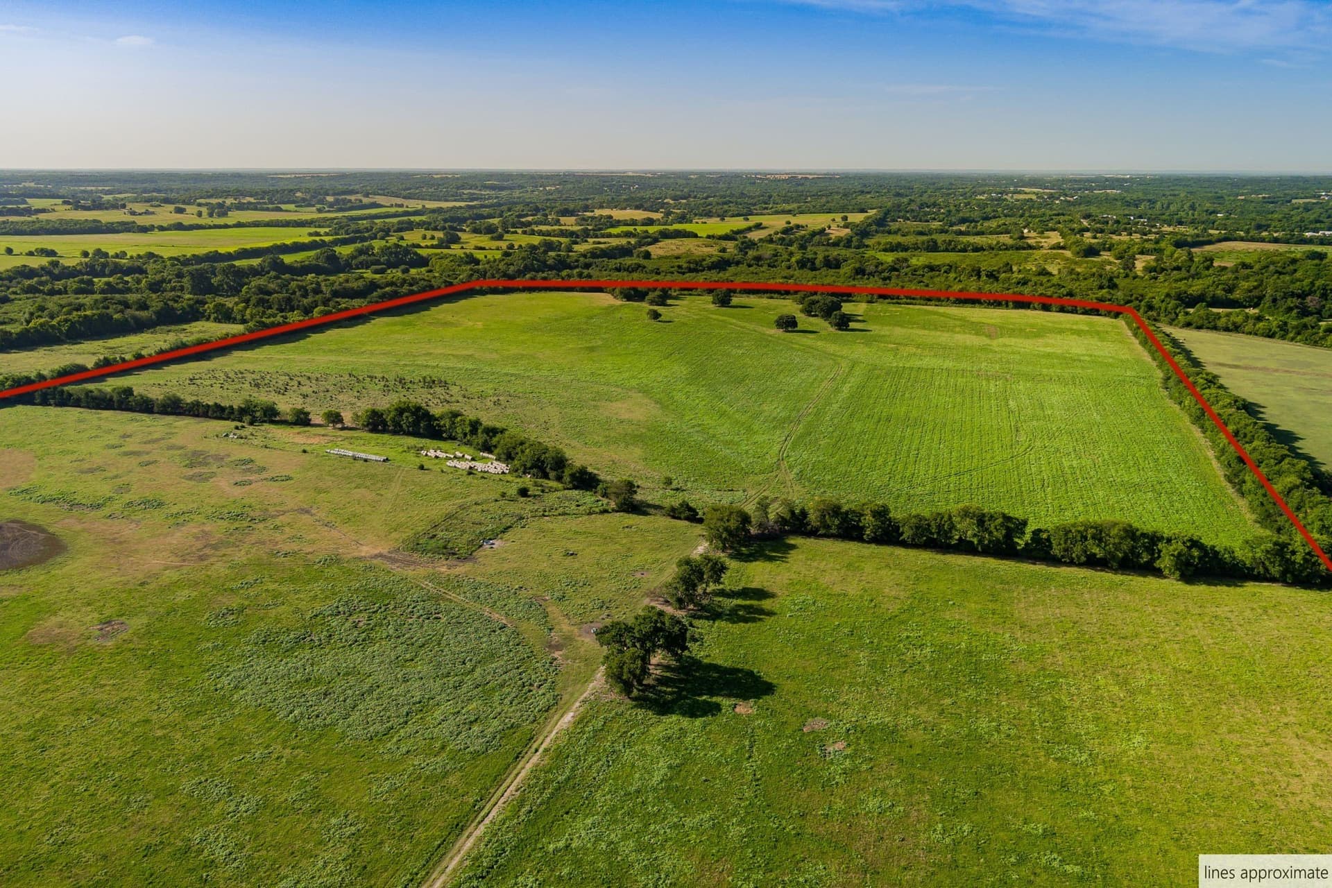 156.03 acres in Fannin County gallery image 4