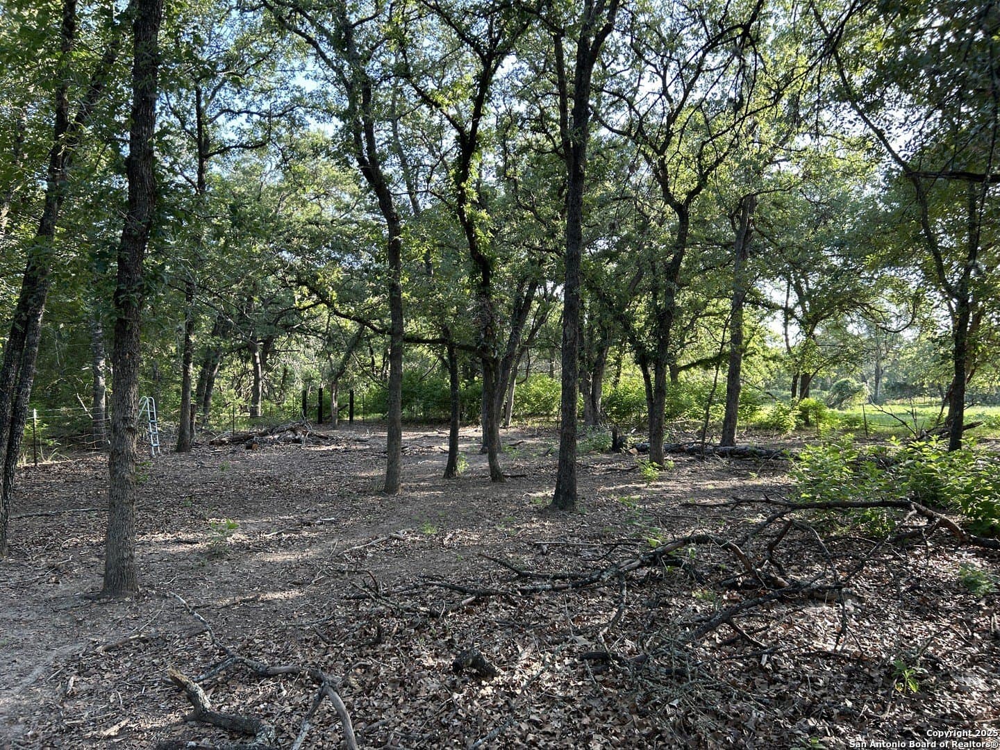 5.99 acres in Wilson County featured view