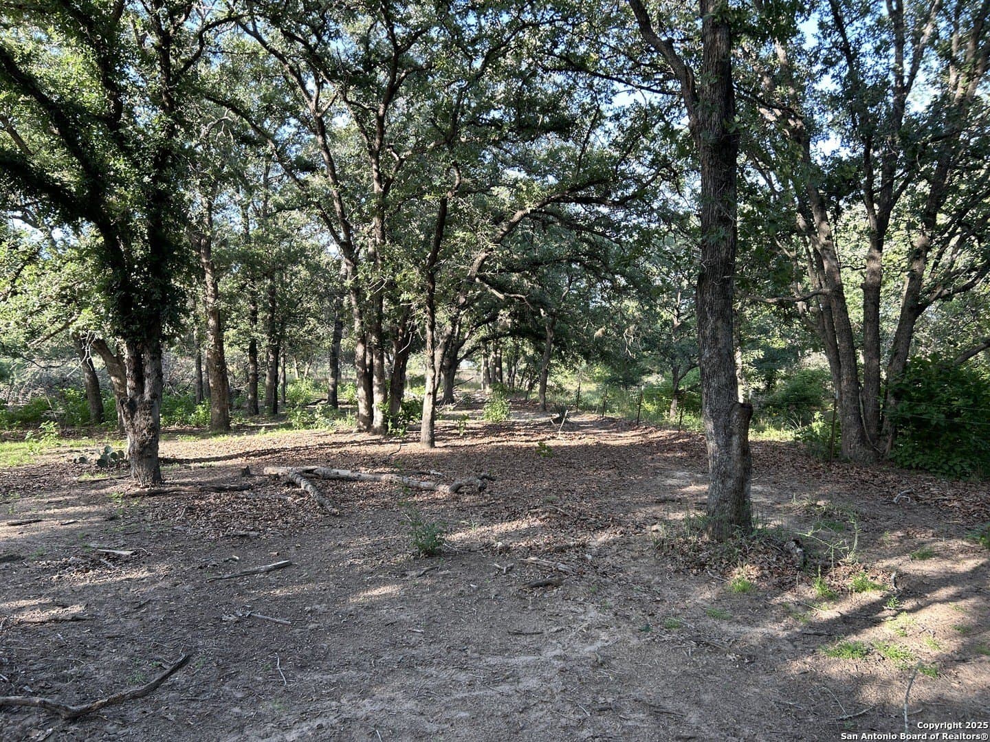 5.99 acres in Wilson County gallery image 4
