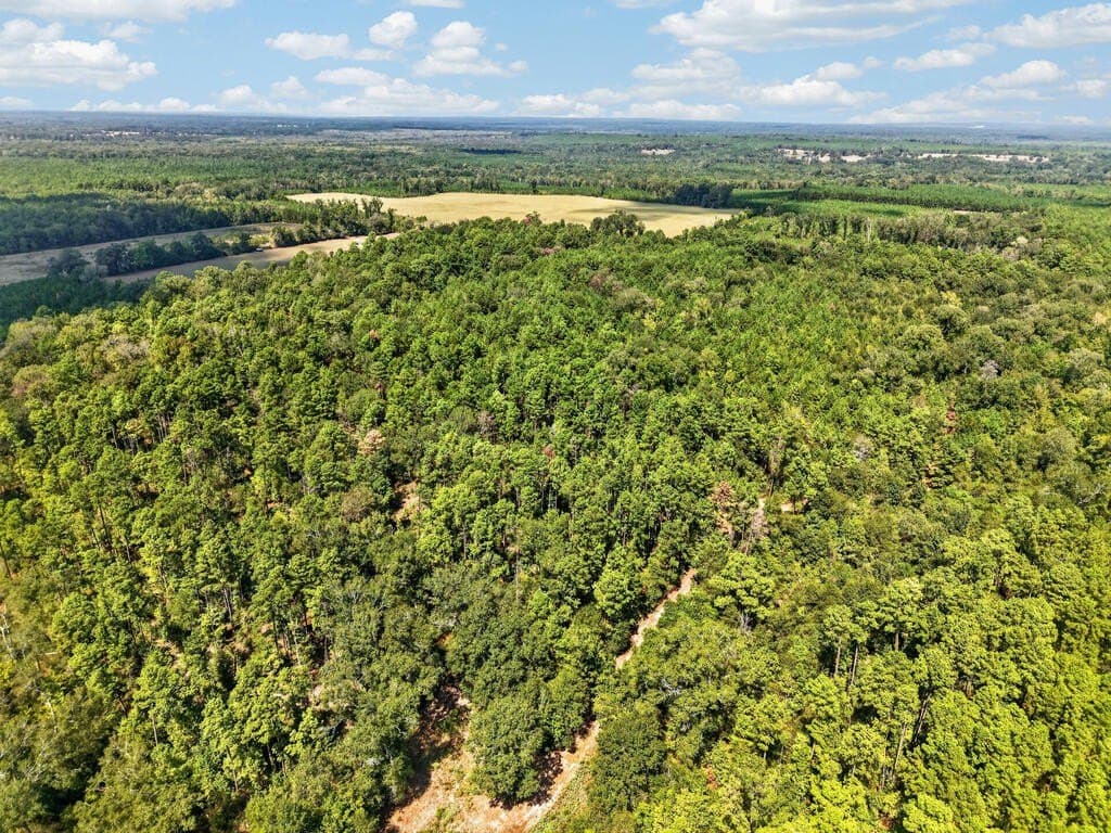 26.73 acres in Texas County - photo 6