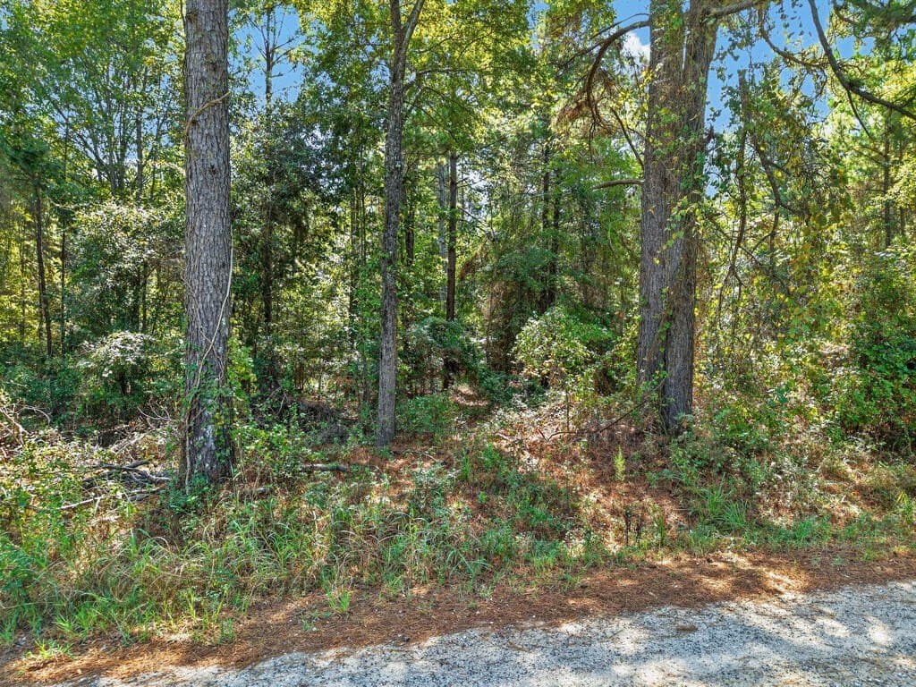 26.73 acres in Texas County - photo 9