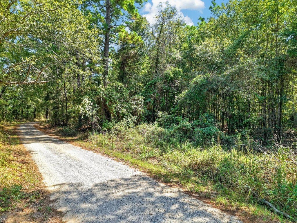 26.73 acres in Texas County - photo 8