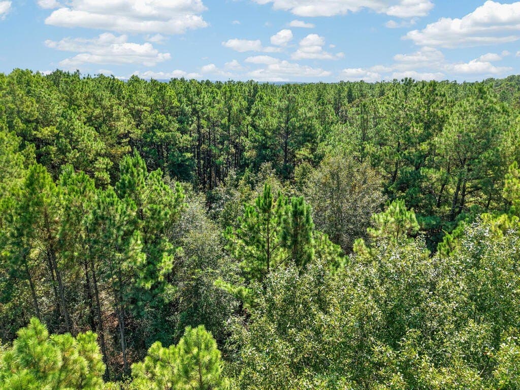 26.73 acres in Texas County - photo 7