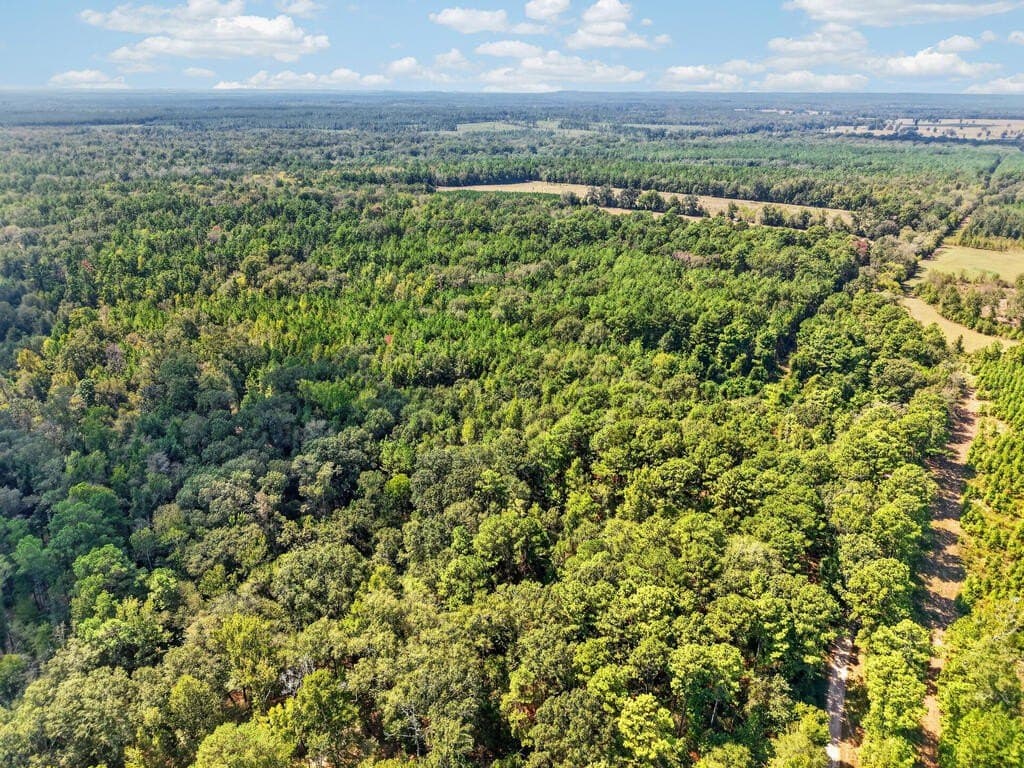 26.73 acres in Texas County - photo 3