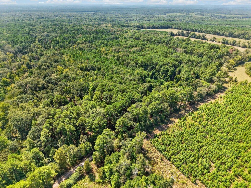 26.73 acres in Texas County - photo 2