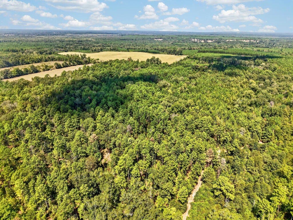 26.73 acres in Texas County - photo 5