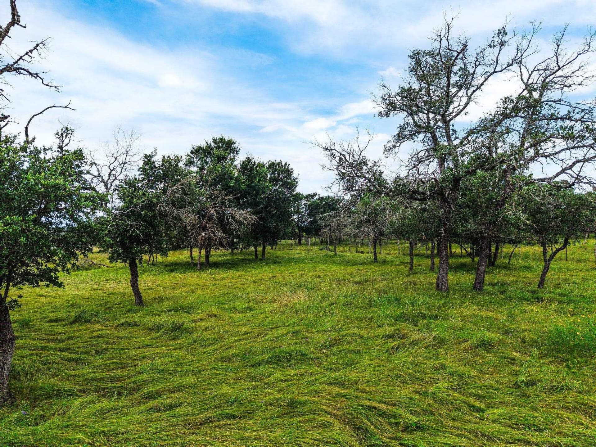 16.71 acres in Lampasas County - photo 10