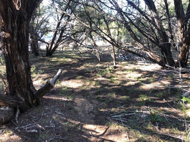 0.1 acres in Bandera County - photo 8