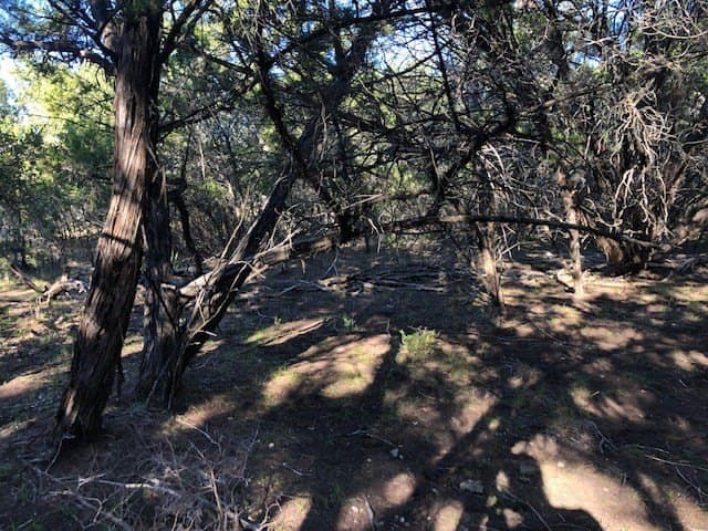 0.1 acres in Bandera County gallery image 4