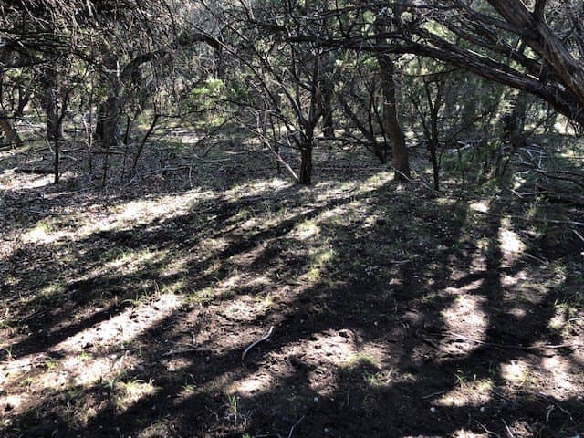 0.1 acres in Bandera County - photo 11