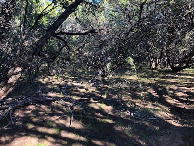 0.1 acres in Bandera County - photo 6