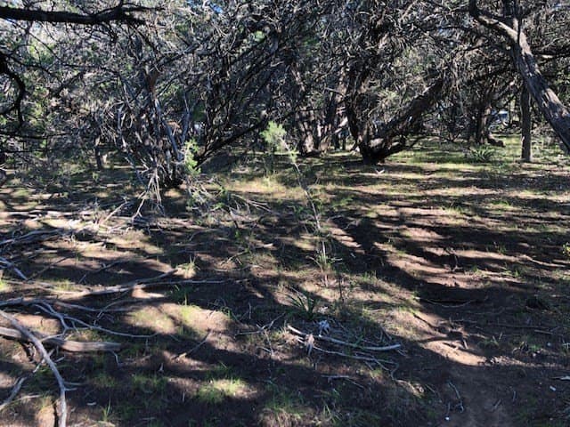 0.1 acres in Bandera County - photo 7