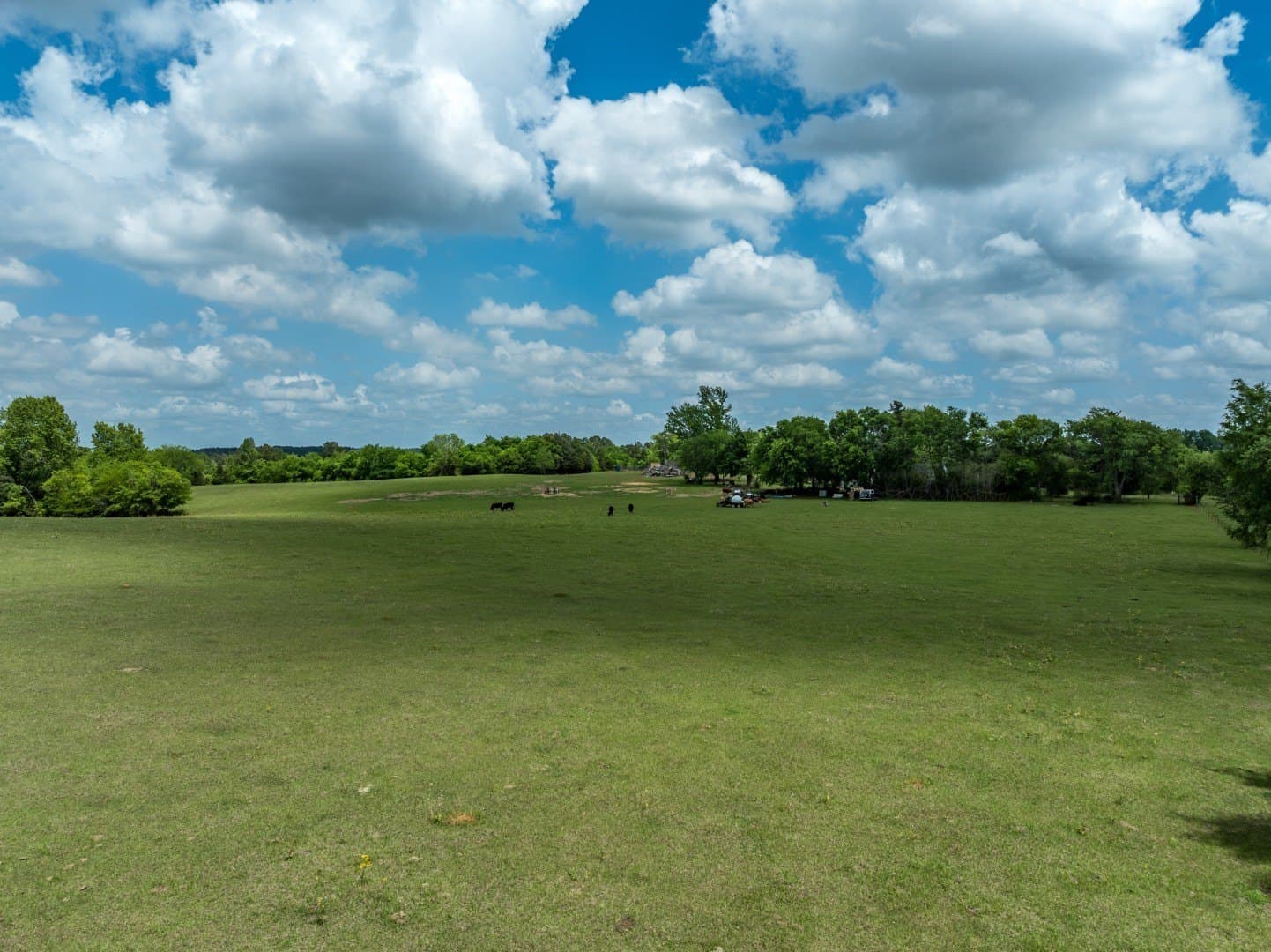 39 acres in Cherokee County - photo 13