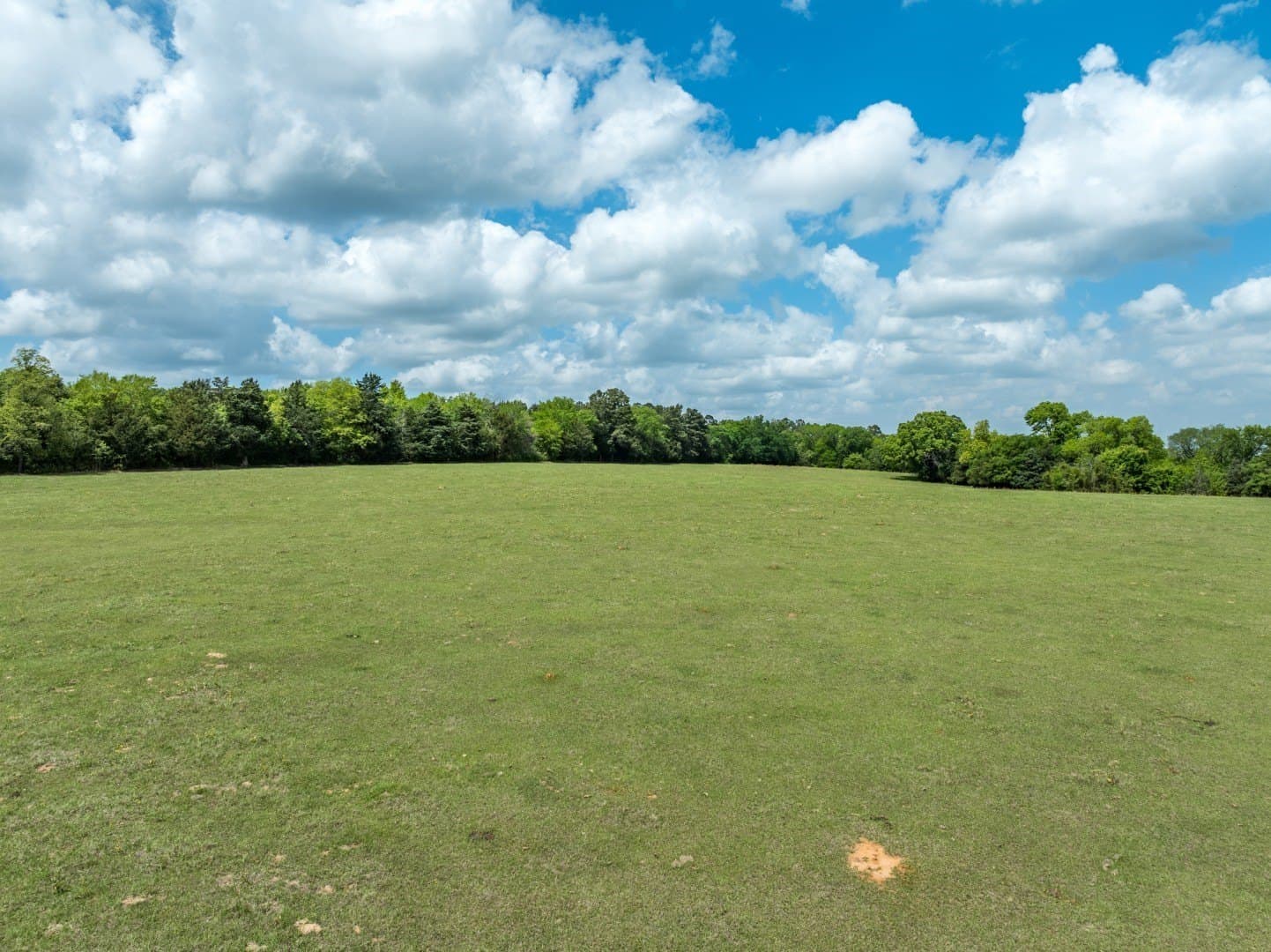 39 acres in Cherokee County - photo 12