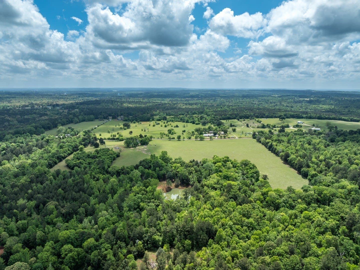 39 acres in Cherokee County - photo 9