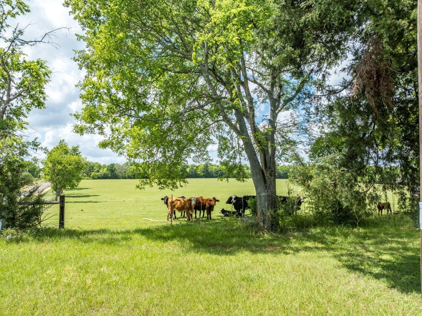 39 acres in Cherokee County - photo 4