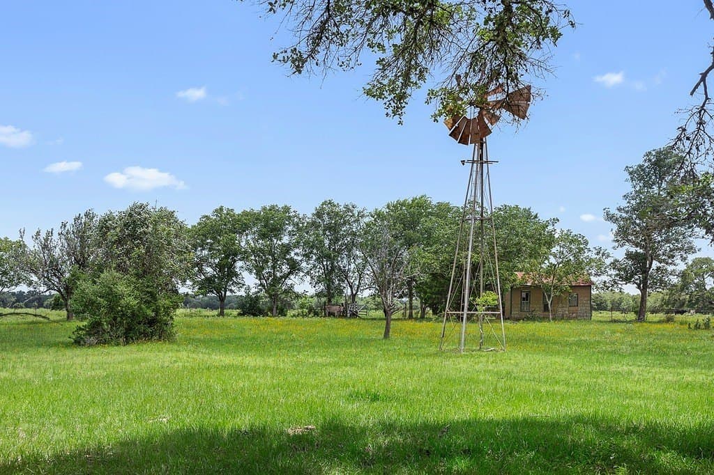 113 acres in Colorado County - photo 5