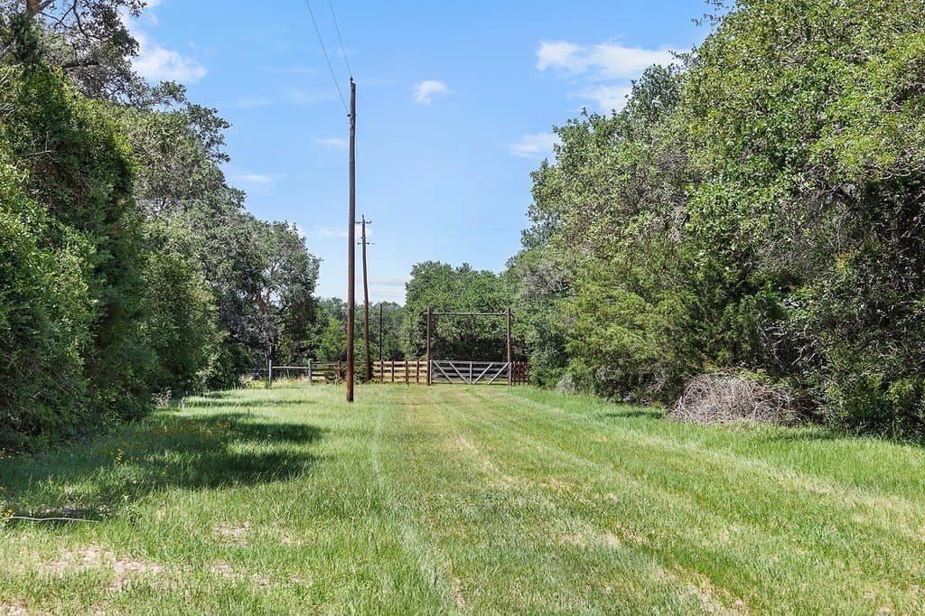 113 acres in Colorado County - photo 4