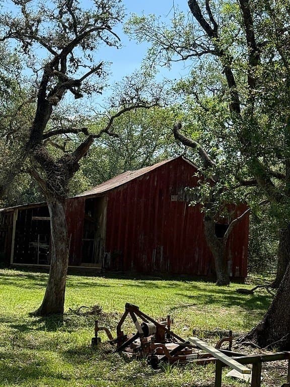 113 acres in Colorado County - photo 8