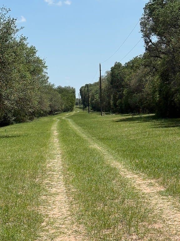 113 acres in Colorado County gallery image 2
