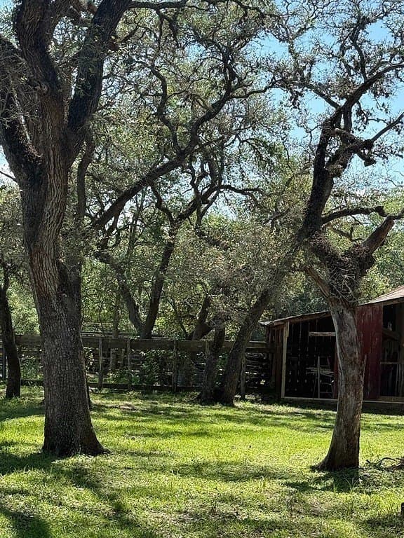 113 acres in Colorado County - photo 6