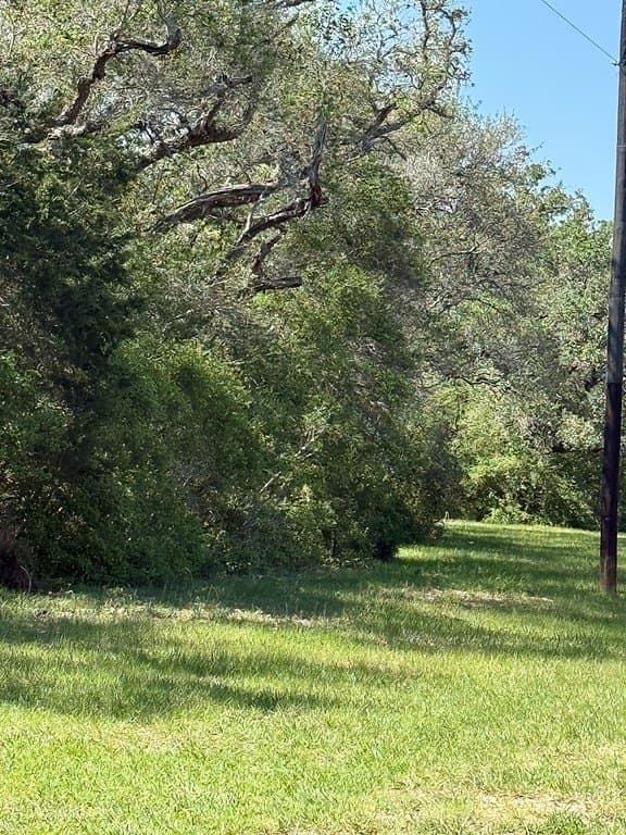 113 acres in Colorado County - photo 14
