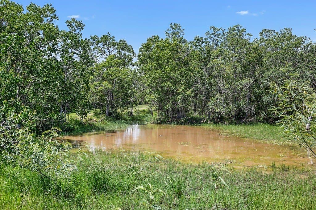 113 acres in Colorado County - photo 15