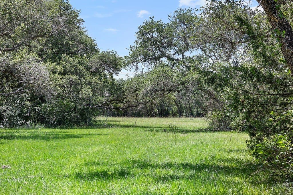 113 acres in Colorado County - photo 20