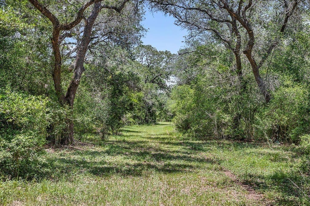 113 acres in Colorado County - photo 12