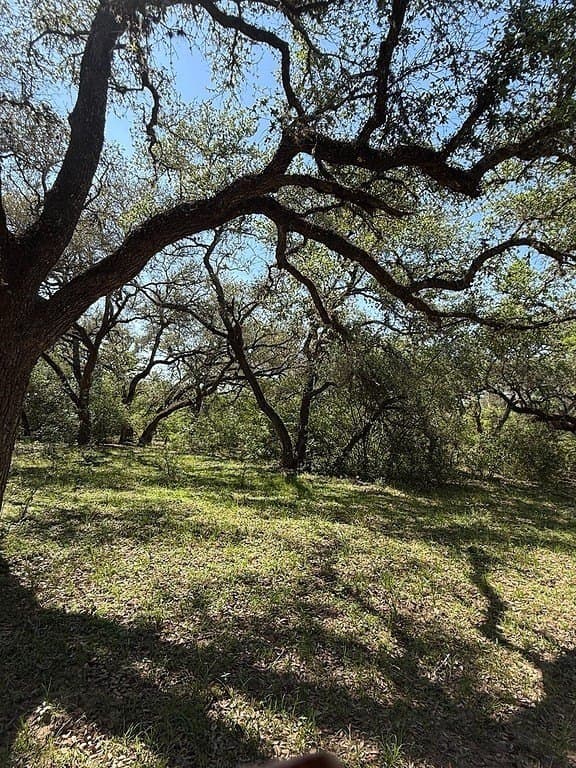 113 acres in Colorado County - photo 15