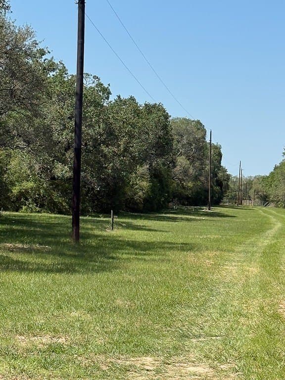113 acres in Colorado County gallery image 3