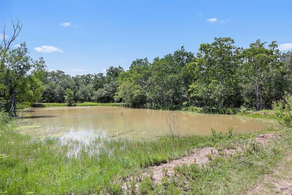 113 acres in Colorado County - photo 17