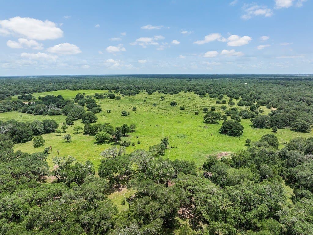 113 acres in Colorado County - photo 18