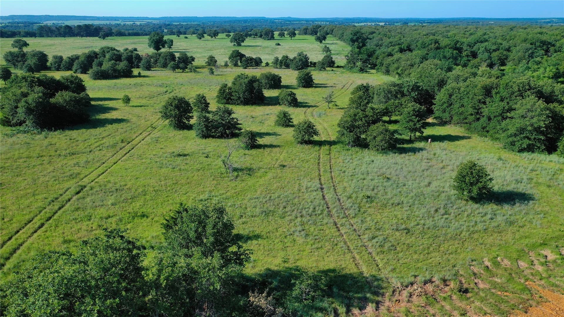 5 acres in Montague County - photo 12