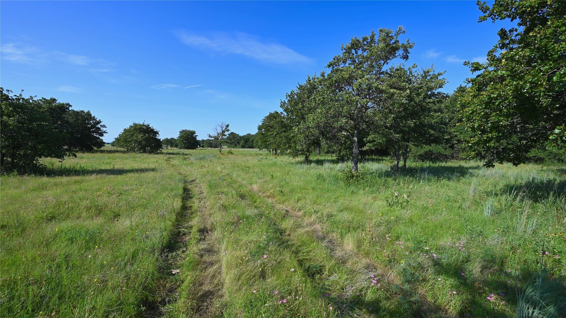 5 acres in Montague County - photo 24