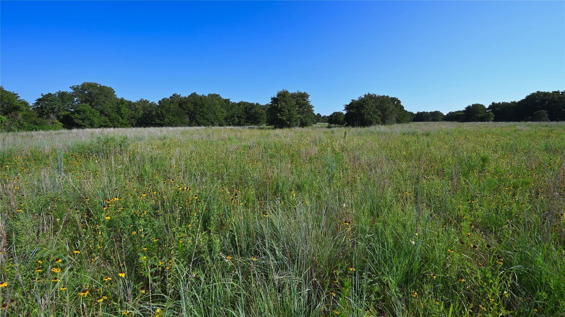 5 acres in Montague County - photo 23