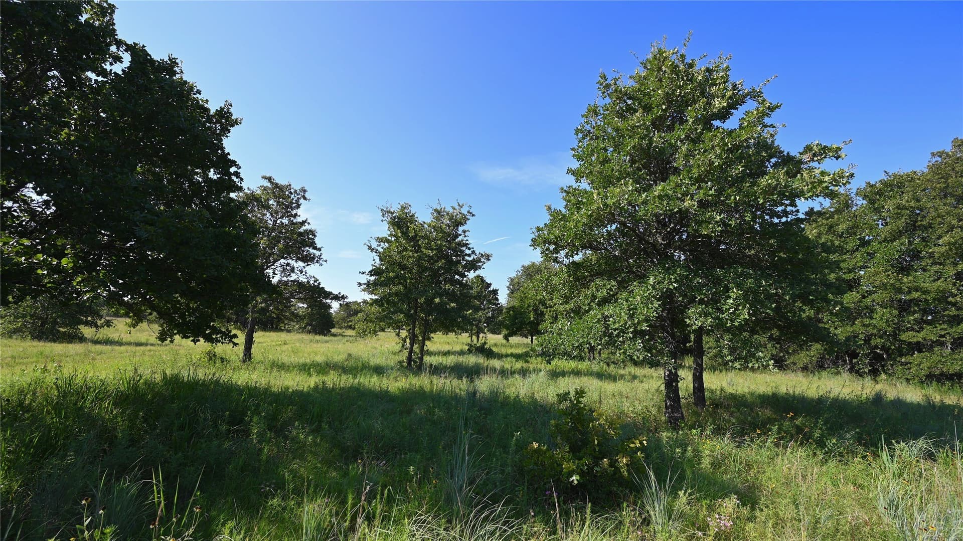 5 acres in Montague County - photo 26