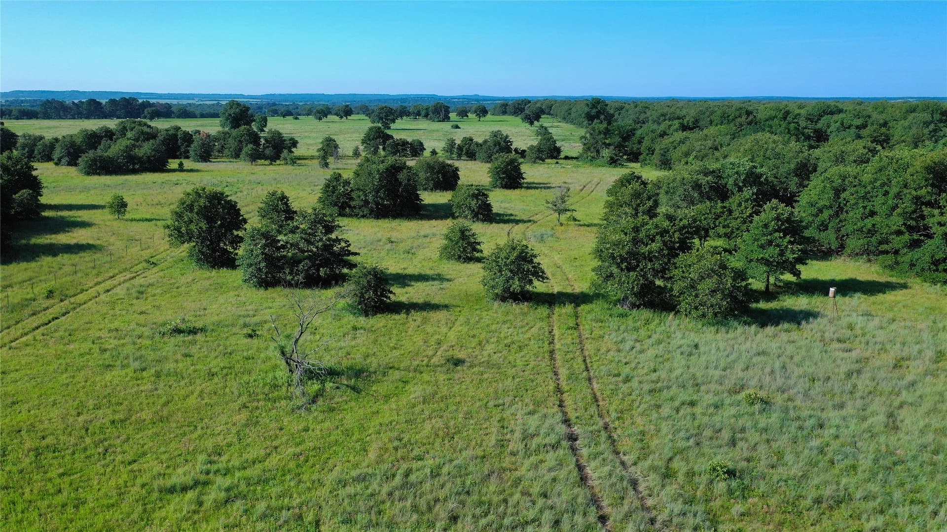 5 acres in Montague County - photo 13