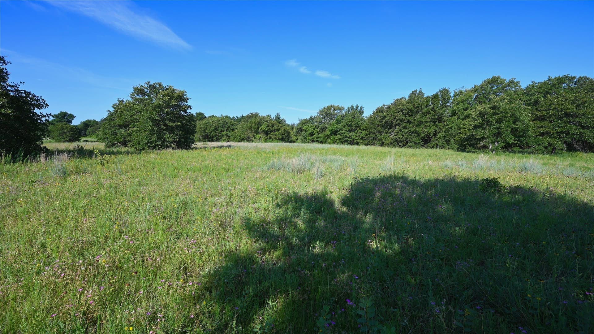 5 acres in Montague County - photo 21